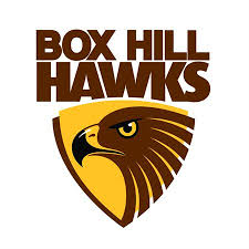 Box Hill Hawks (VFL)